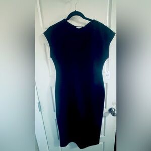 NWT beautiful perfectly fitted black dress large Dex